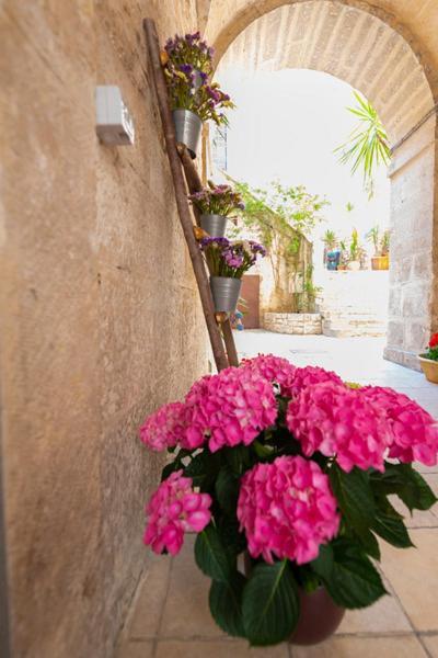 Il Saraceno Apartment Giovinazzo Buitenkant foto
